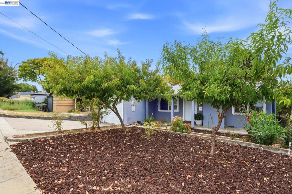 1210 Highland Blvd Property Photo 3
