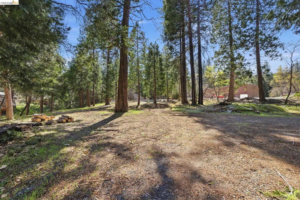 24189 S Fork Rd Property Photo 28