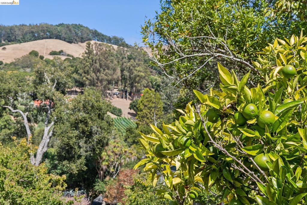 6067 Dimm Way Property Photo 65