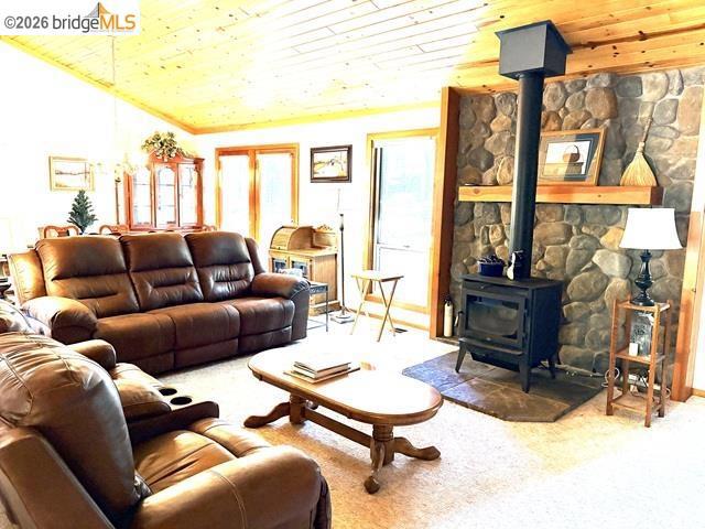 2008 Antler Property Photo 5