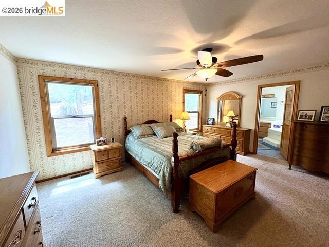 2008 Antler Property Photo 15