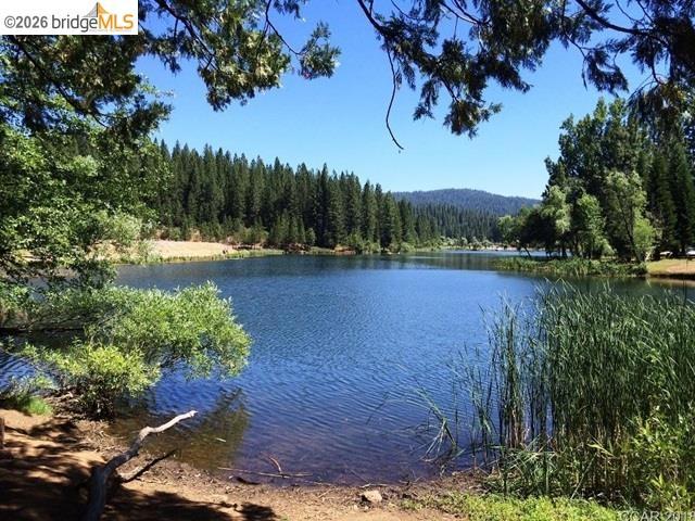 2008 Antler Property Photo 23