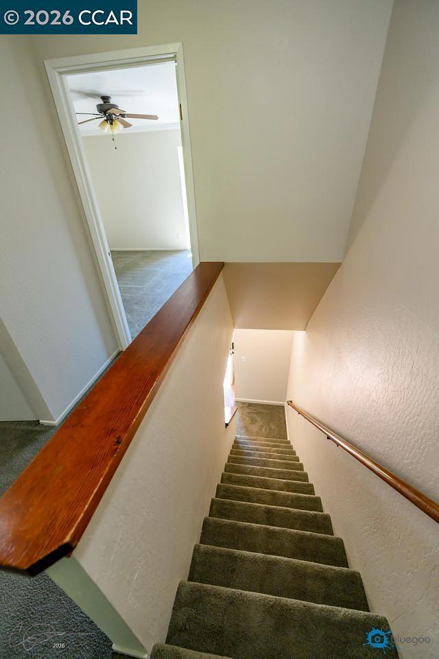 324 Eastgate Ln Property Photo 22