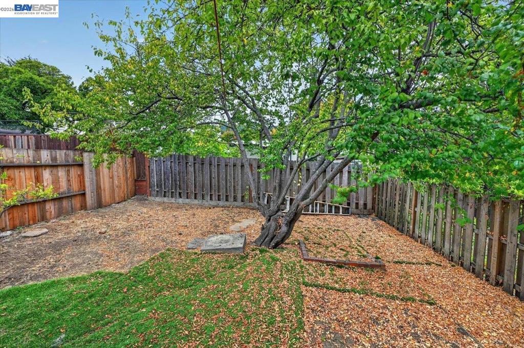 3148 California St Property Photo 23