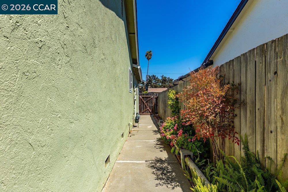 419 Blanco St Property Photo 26