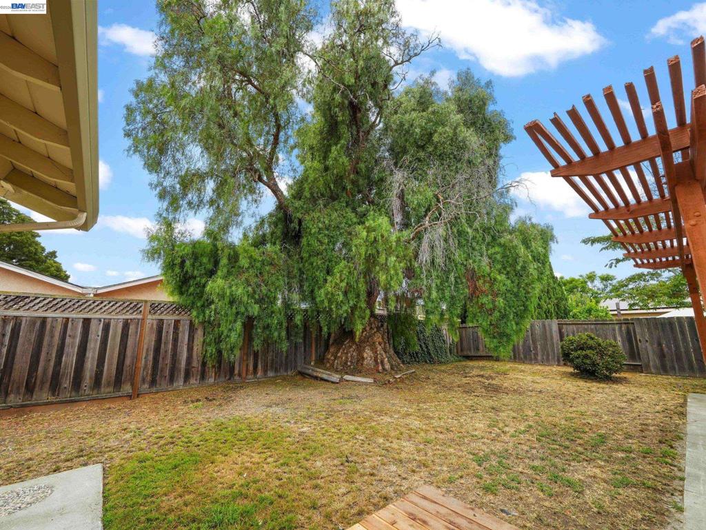 38399 Birch Street Property Photo 34