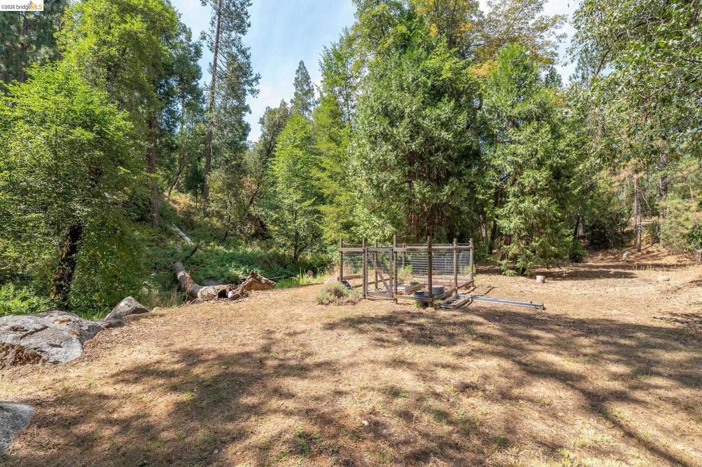 21551 Phoenix Lake Rd Property Photo 11