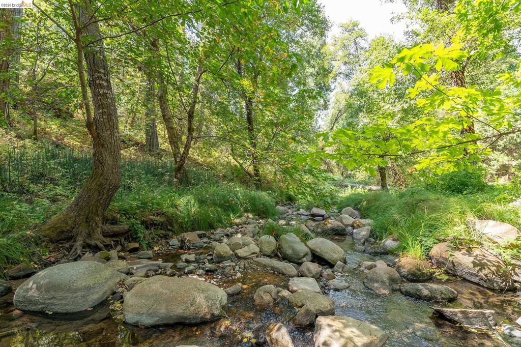21551 Phoenix Lake Rd Property Photo 73