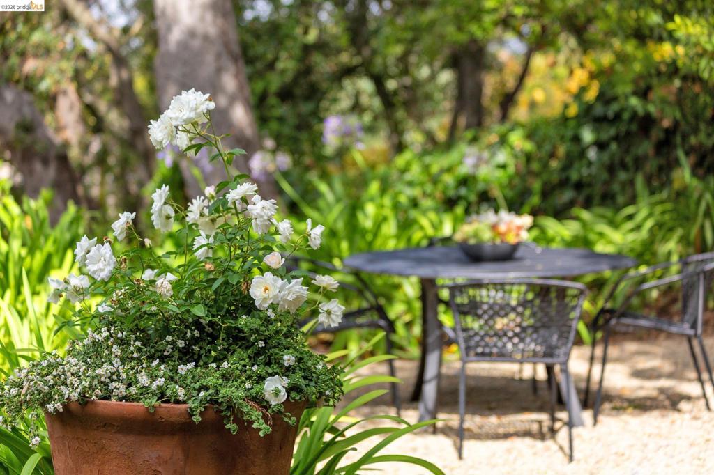 249 The Uplands Property Photo 47