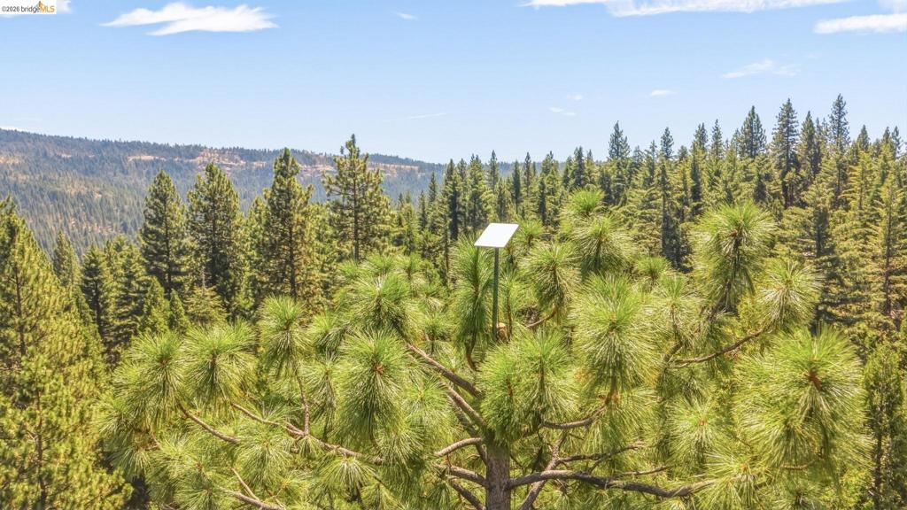 29576 Lassen Dr Property Photo 24
