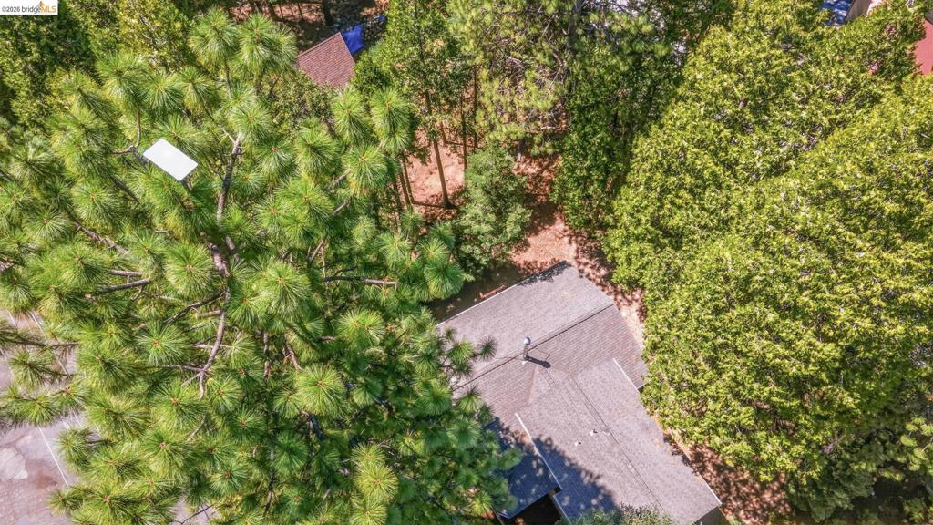 29576 Lassen Dr Property Photo 25