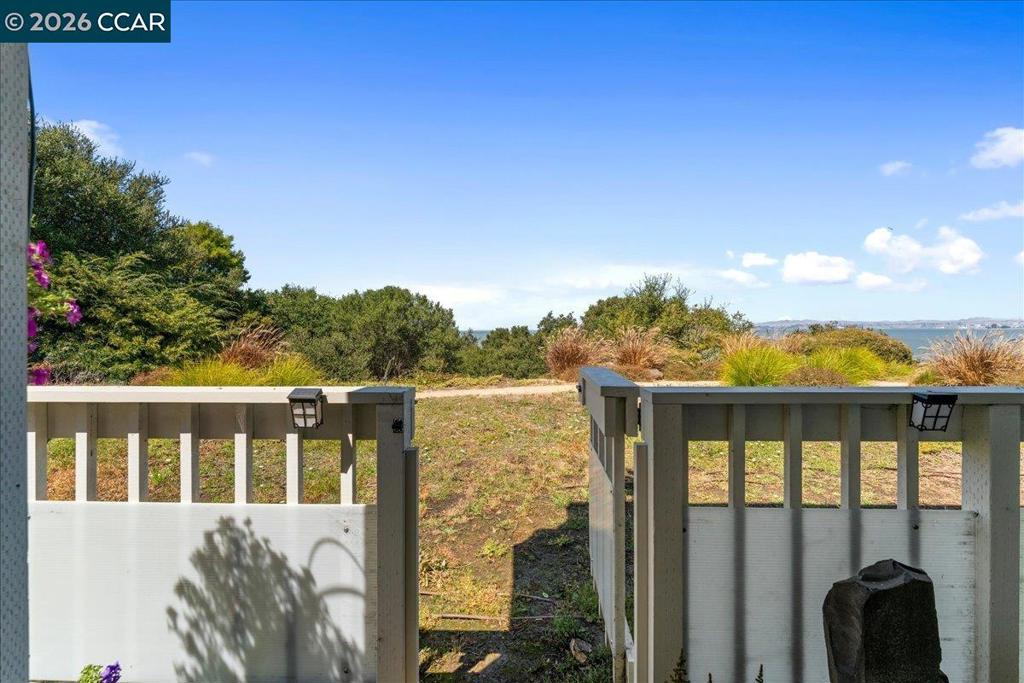 720 Live Oak Ln Property Photo 9