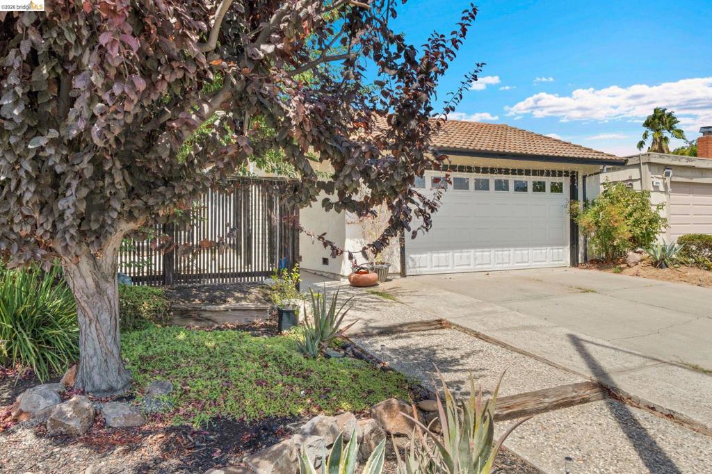 2908 Pear St Property Photo 5
