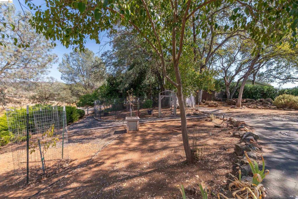 8400 Old Melones Rd. #83 Property Photo 29