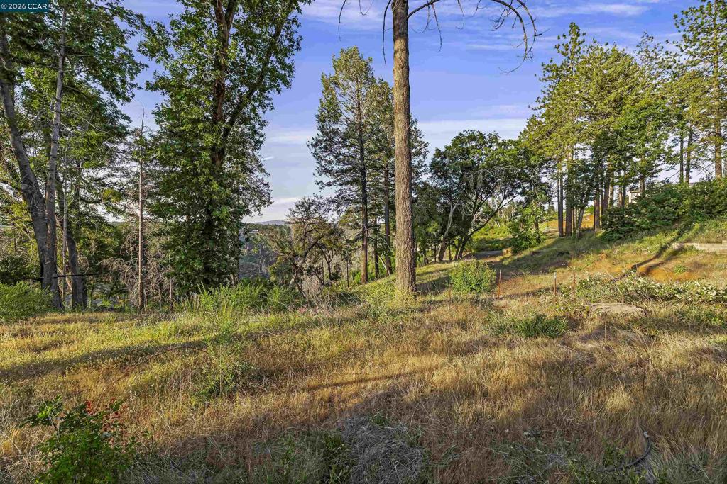 6479 Gregory Ln Property Photo 5