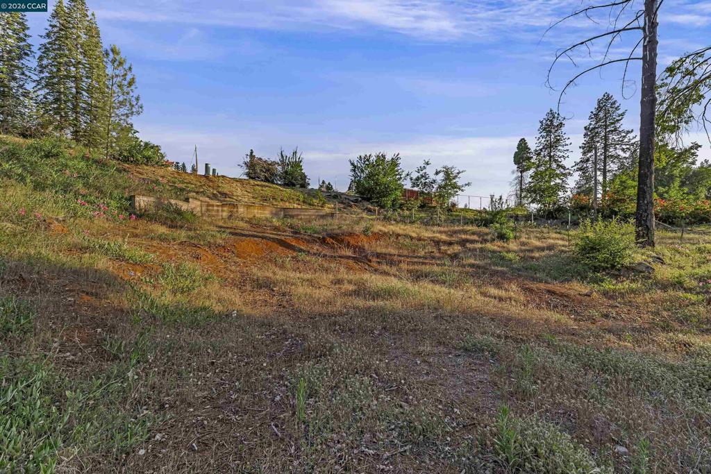 6479 Gregory Ln Property Photo 8
