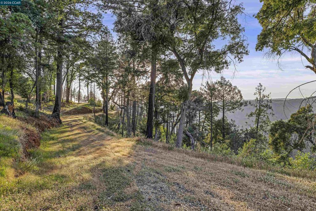 6479 Gregory Ln Property Photo 12