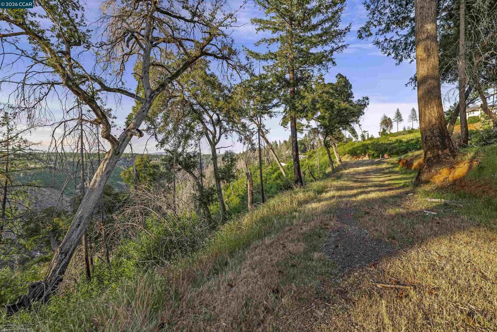 6479 Gregory Ln Property Photo 15
