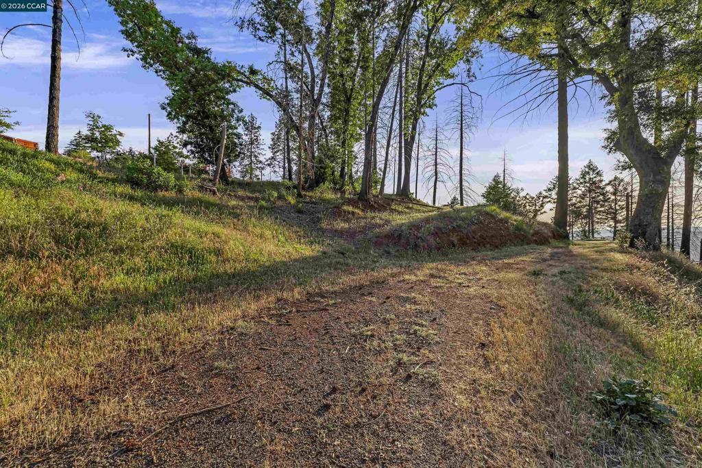 6479 Gregory Ln Property Photo 16