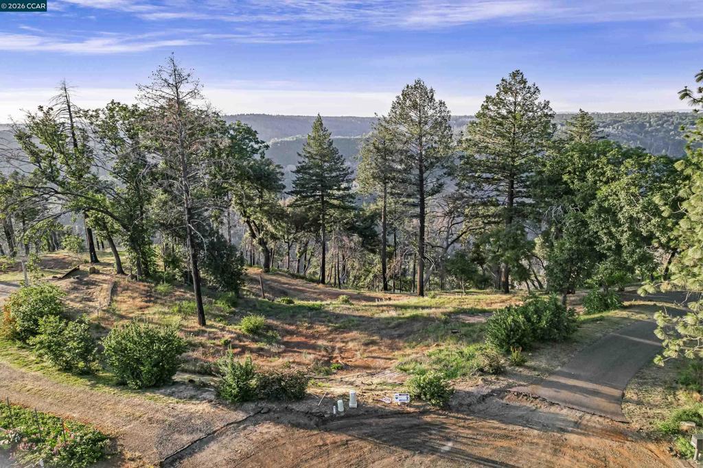 6479 Gregory Ln Property Photo 23