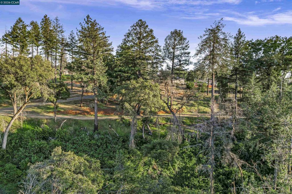 6479 Gregory Ln Property Photo 24