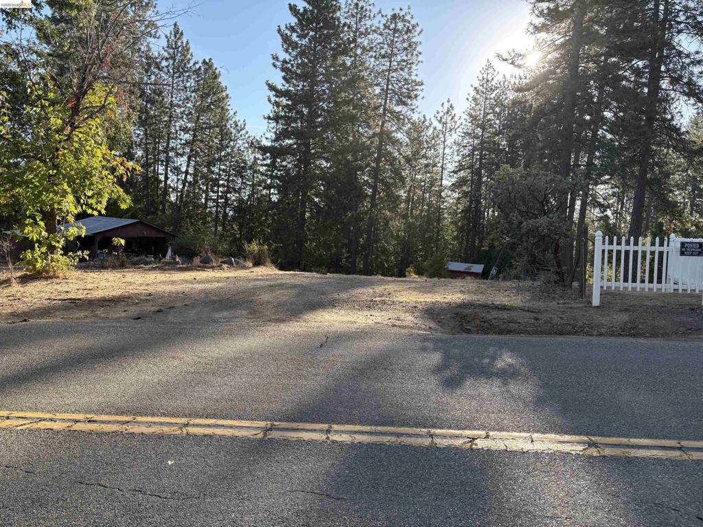 10162 Holtzel Road Property Photo 1