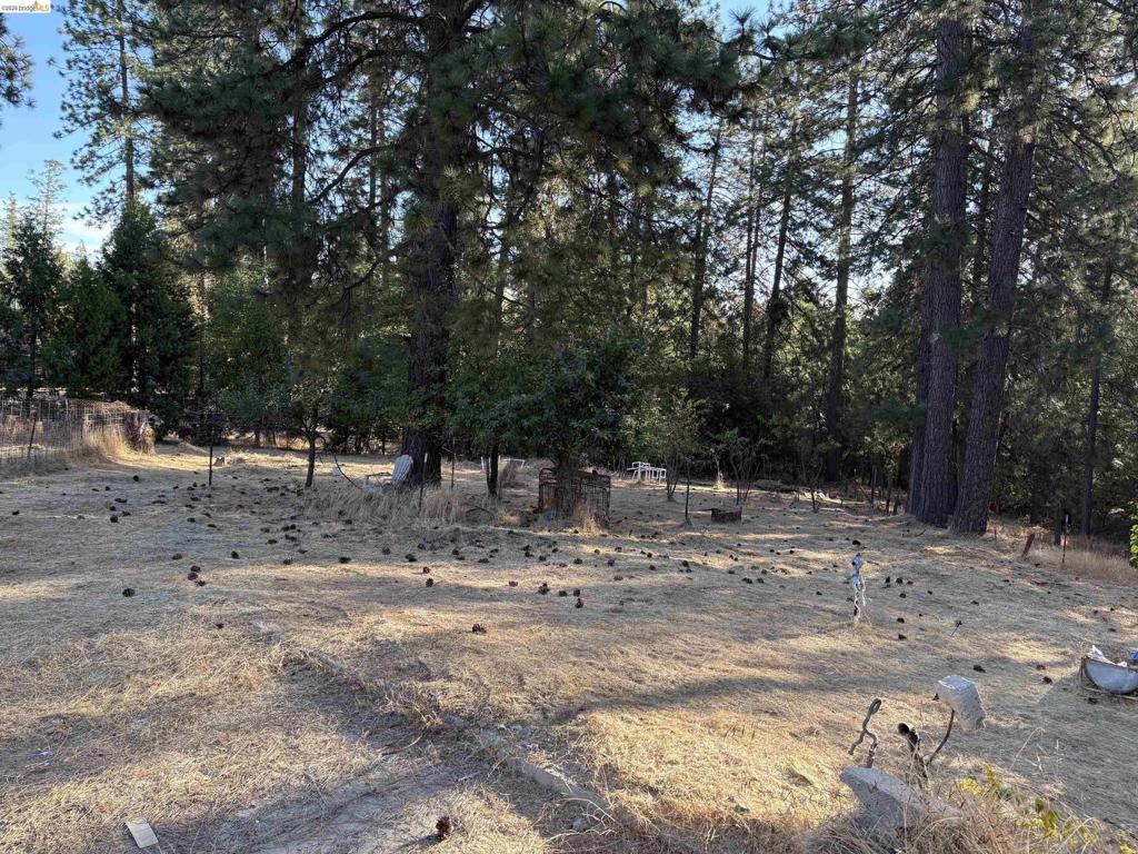 10162 Holtzel Road Property Photo 2