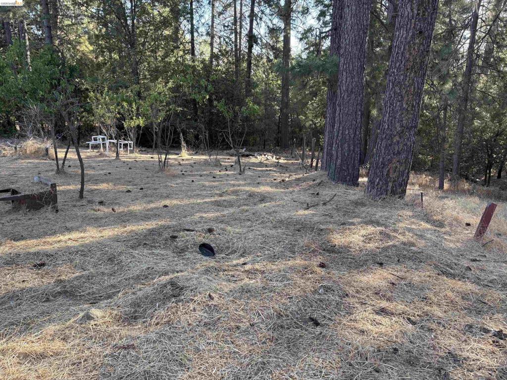 10162 Holtzel Road Property Photo 3