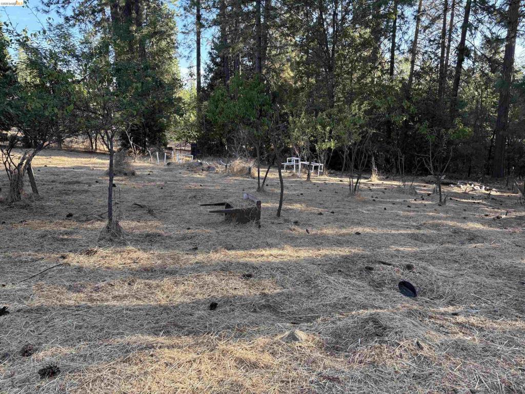 10162 Holtzel Road Property Photo 4