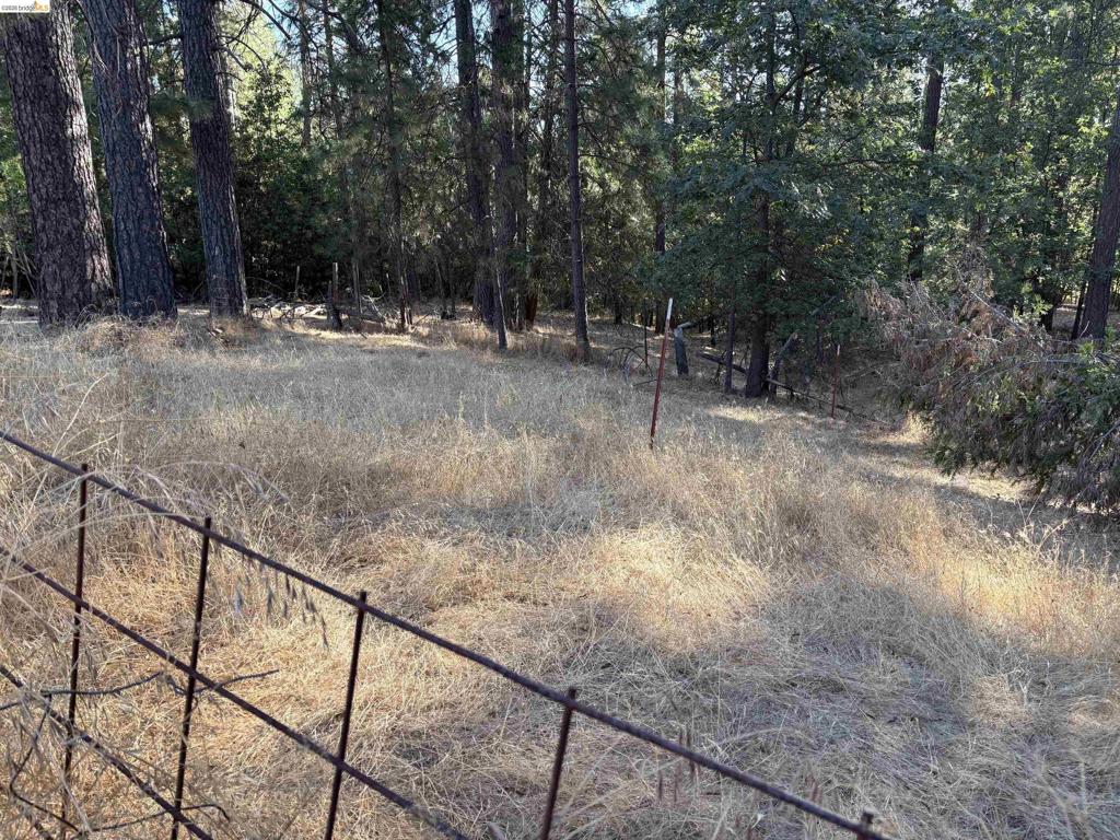 10162 Holtzel Road Property Photo 5