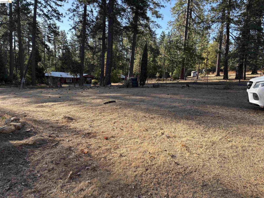 10162 Holtzel Road Property Photo 6
