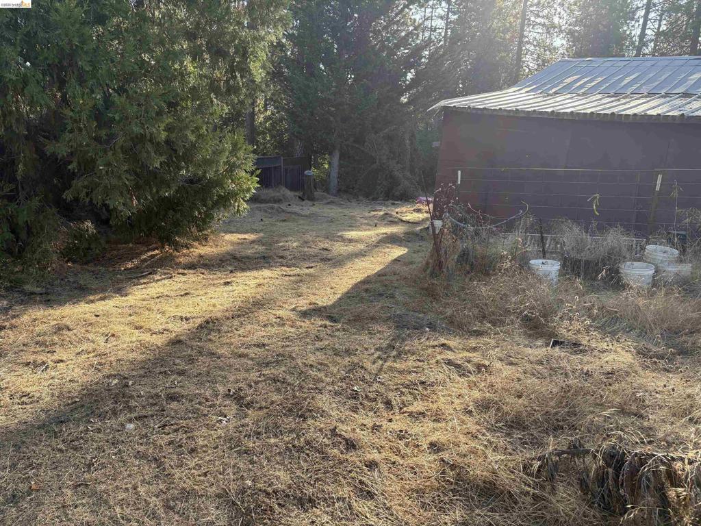 10162 Holtzel Road Property Photo 11