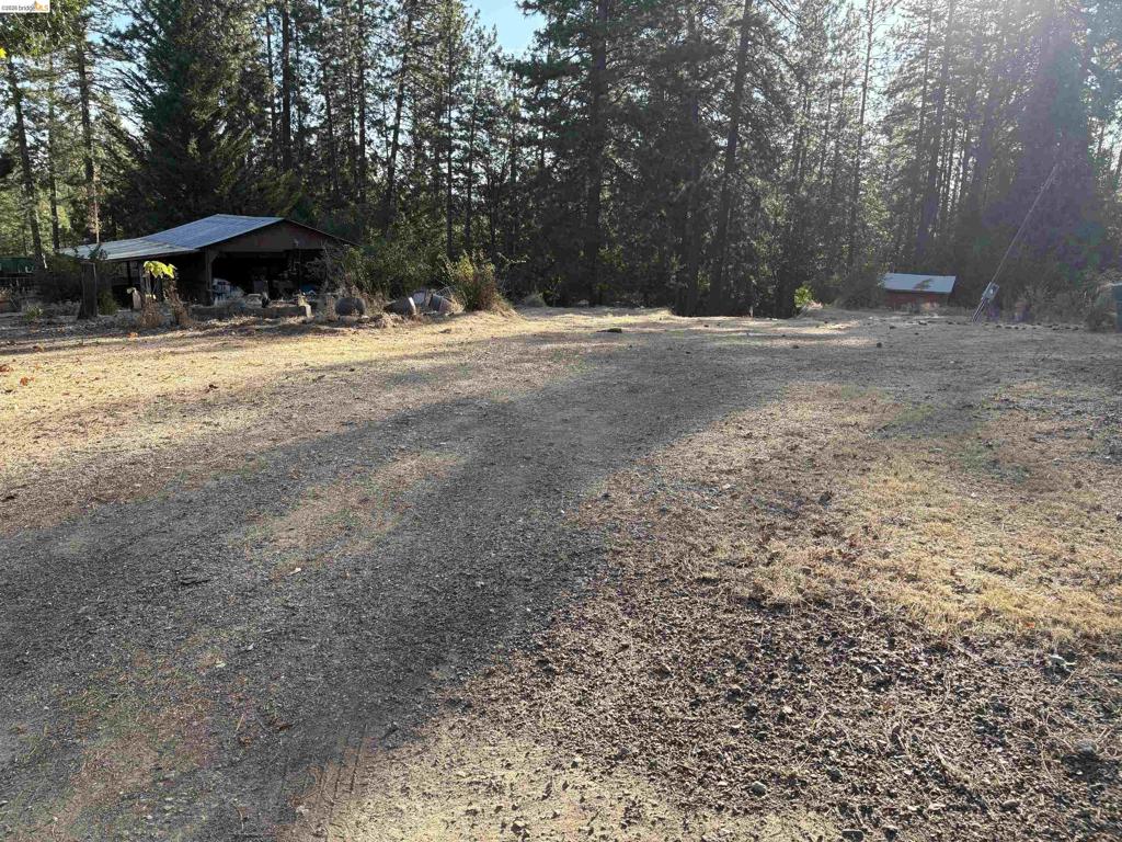 10162 Holtzel Road Property Photo 13