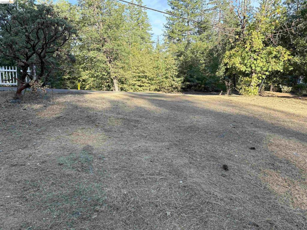 10162 Holtzel Road Property Photo 14