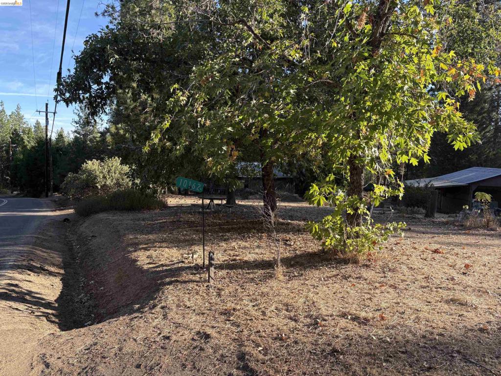 10162 Holtzel Road Property Photo 15