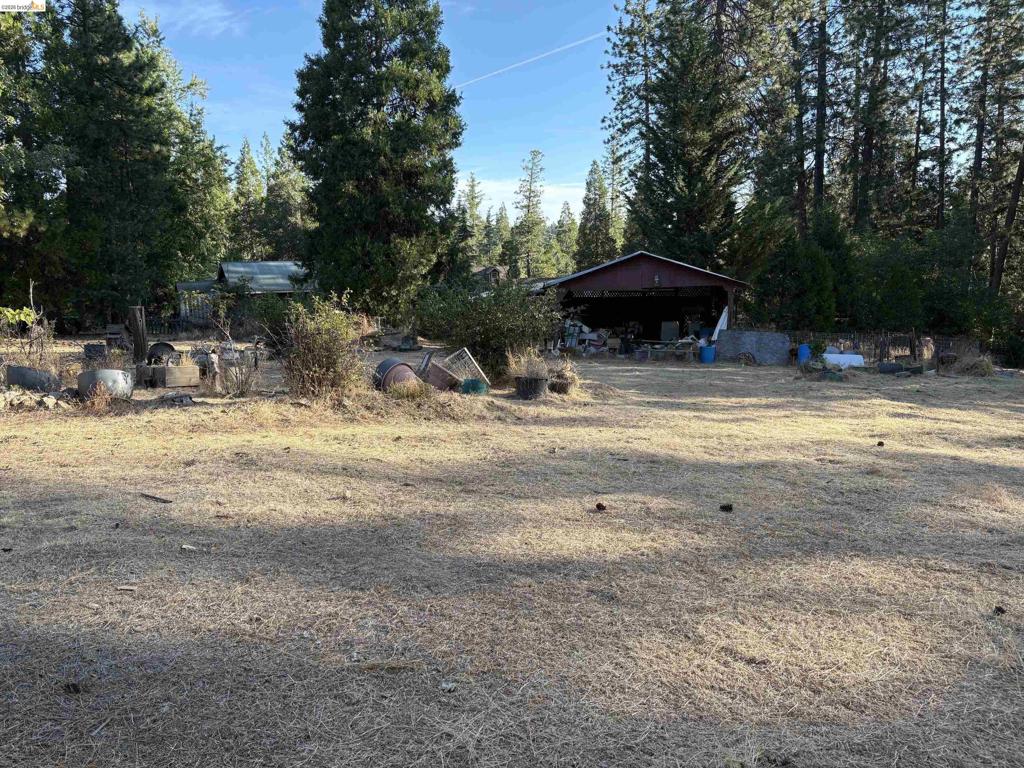 10162 Holtzel Road Property Photo 16