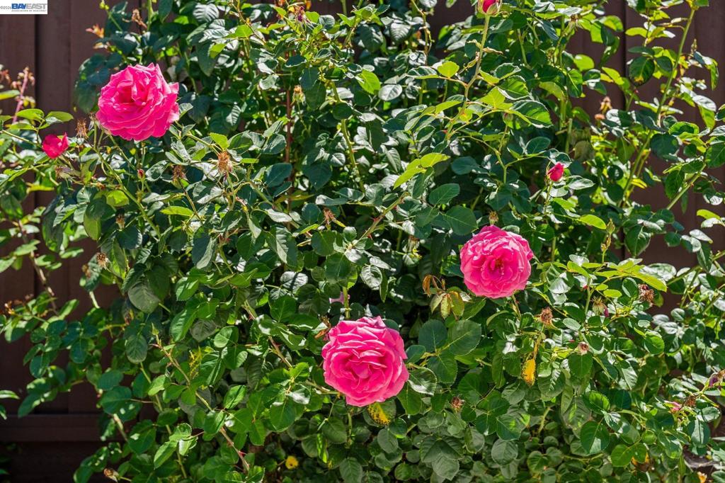 2485 Medallion Dr Property Photo 47