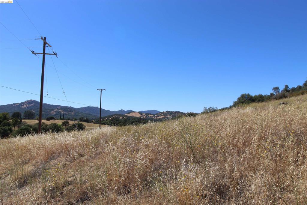 781 Gelding Property Photo 2