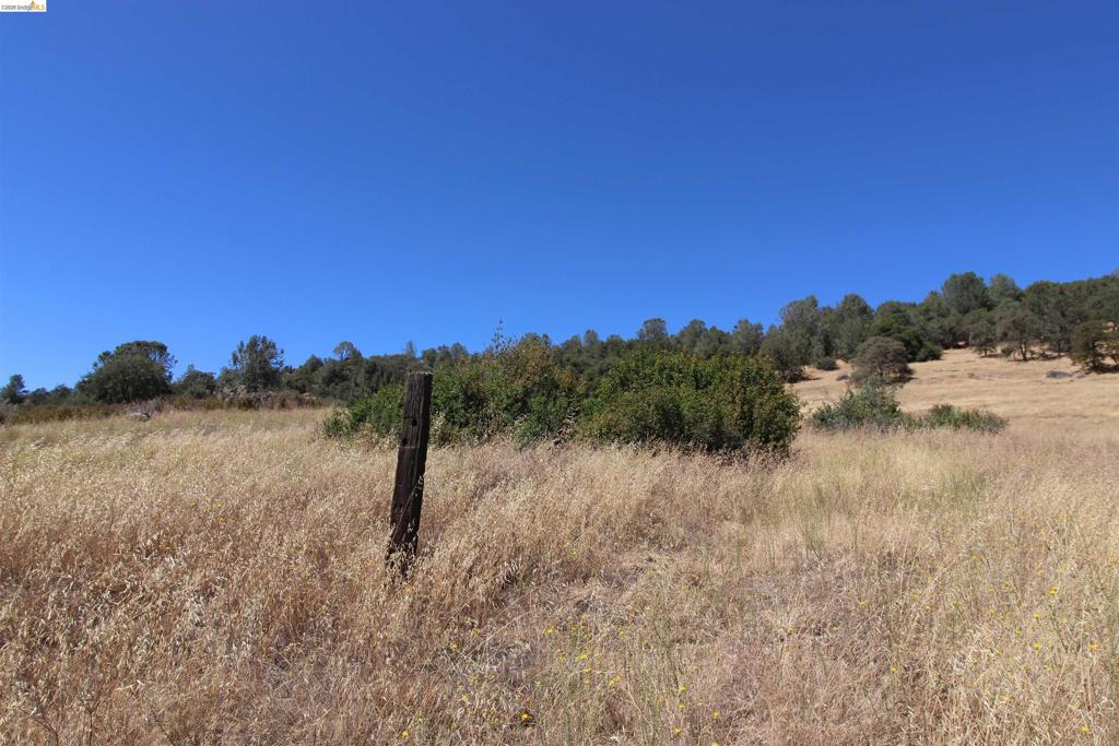 781 Gelding Property Photo 4