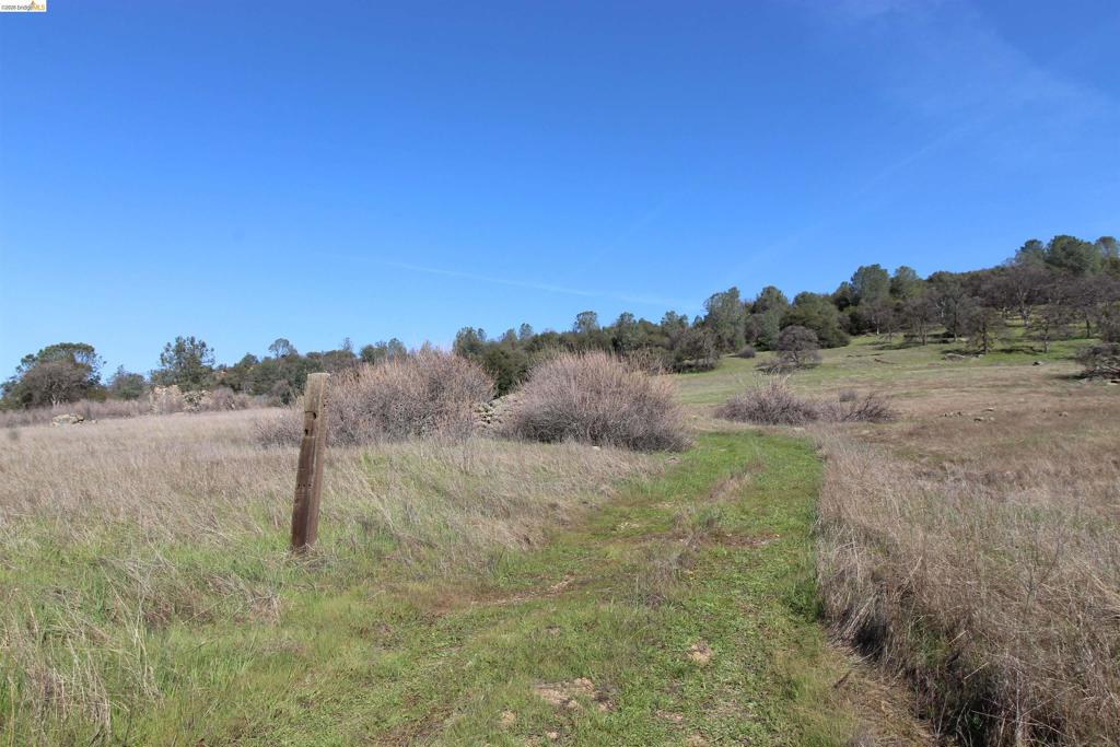 781 Gelding Property Photo 7