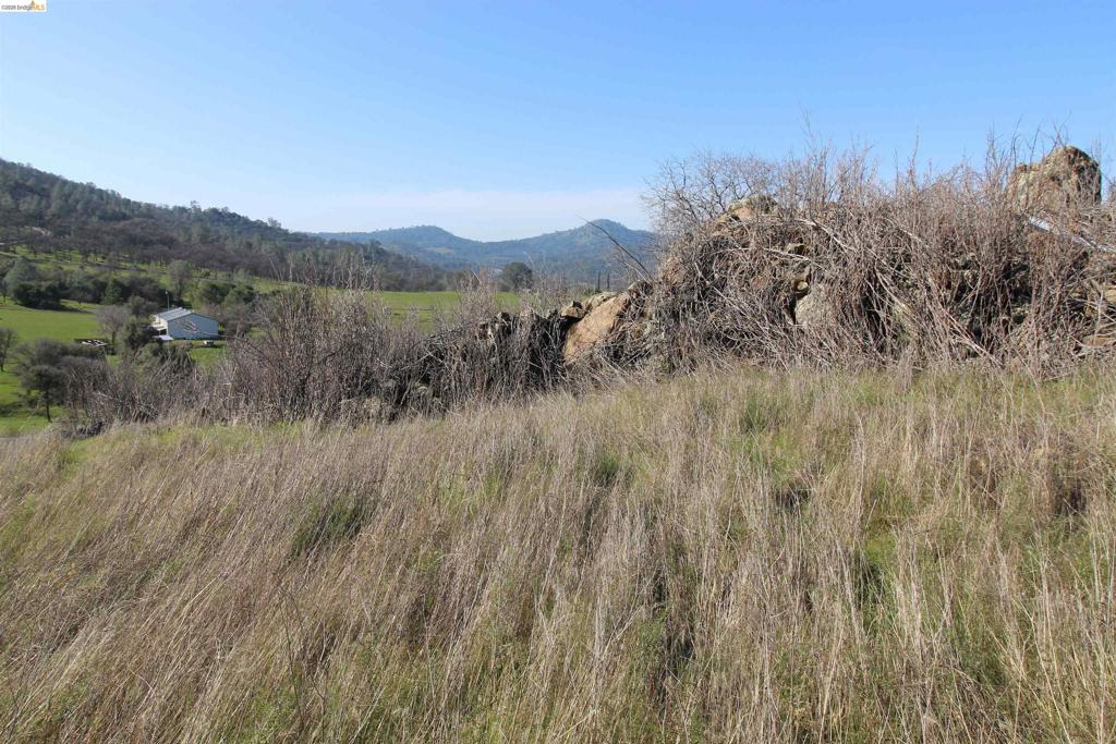 781 Gelding Property Photo 8