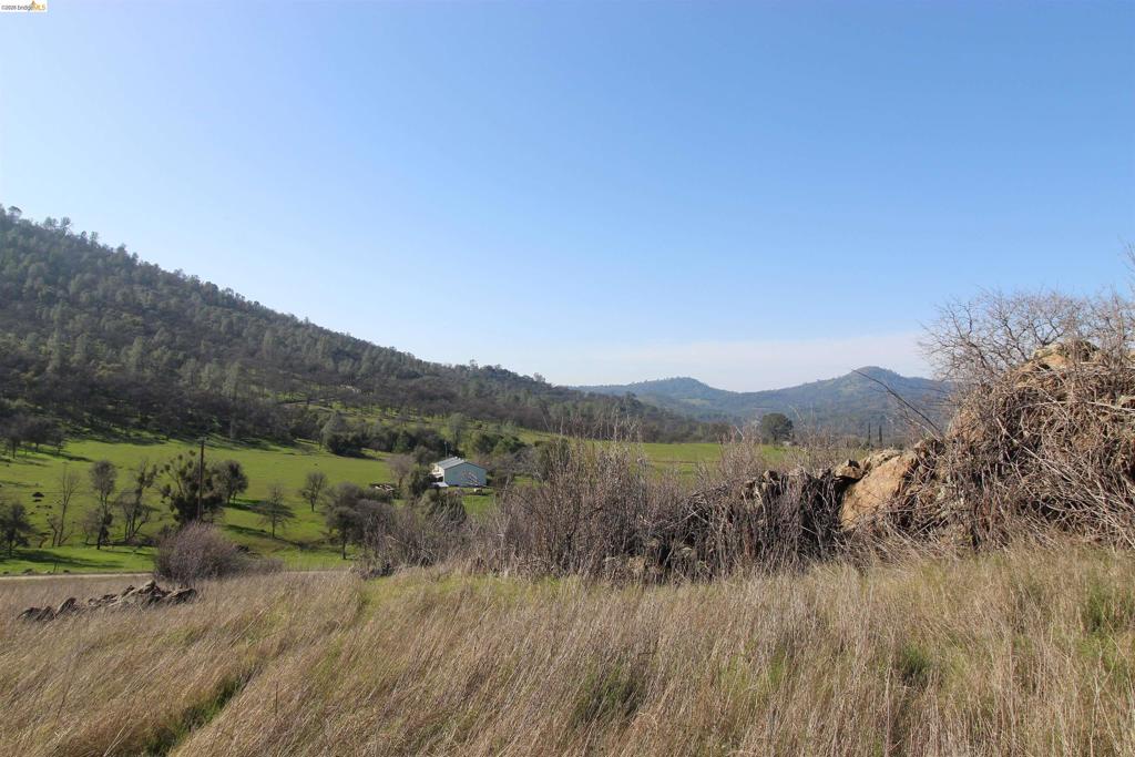 781 Gelding Property Photo 9