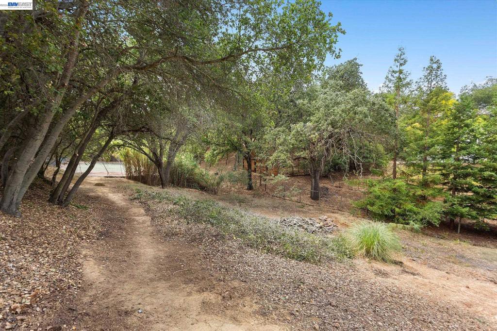 14821 Golf Links Drive Property Photo 36