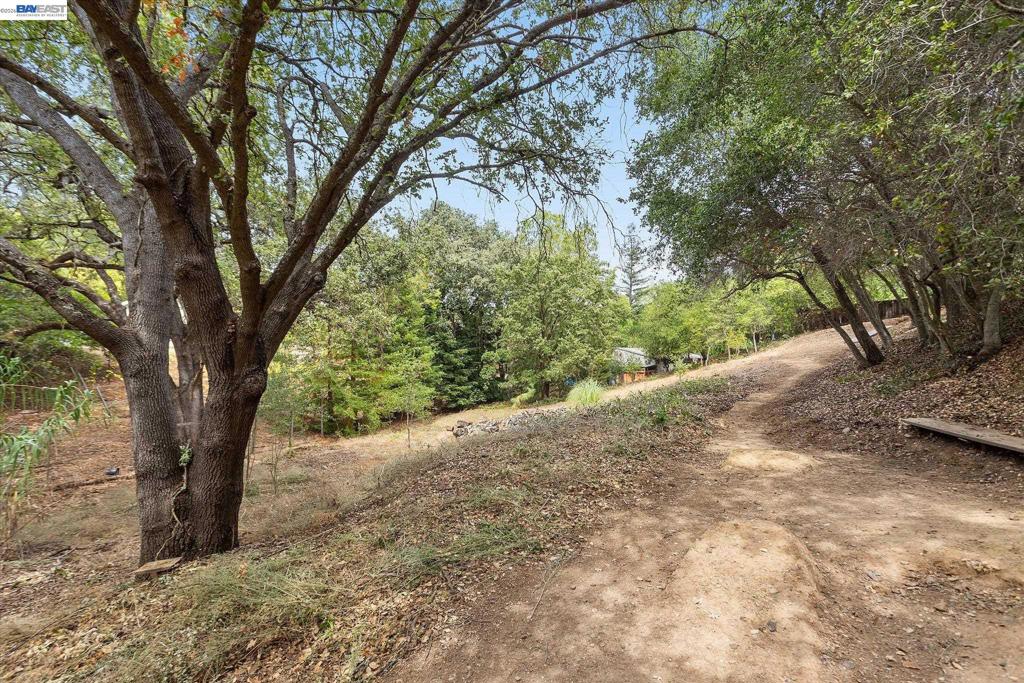 14821 Golf Links Drive Property Photo 38