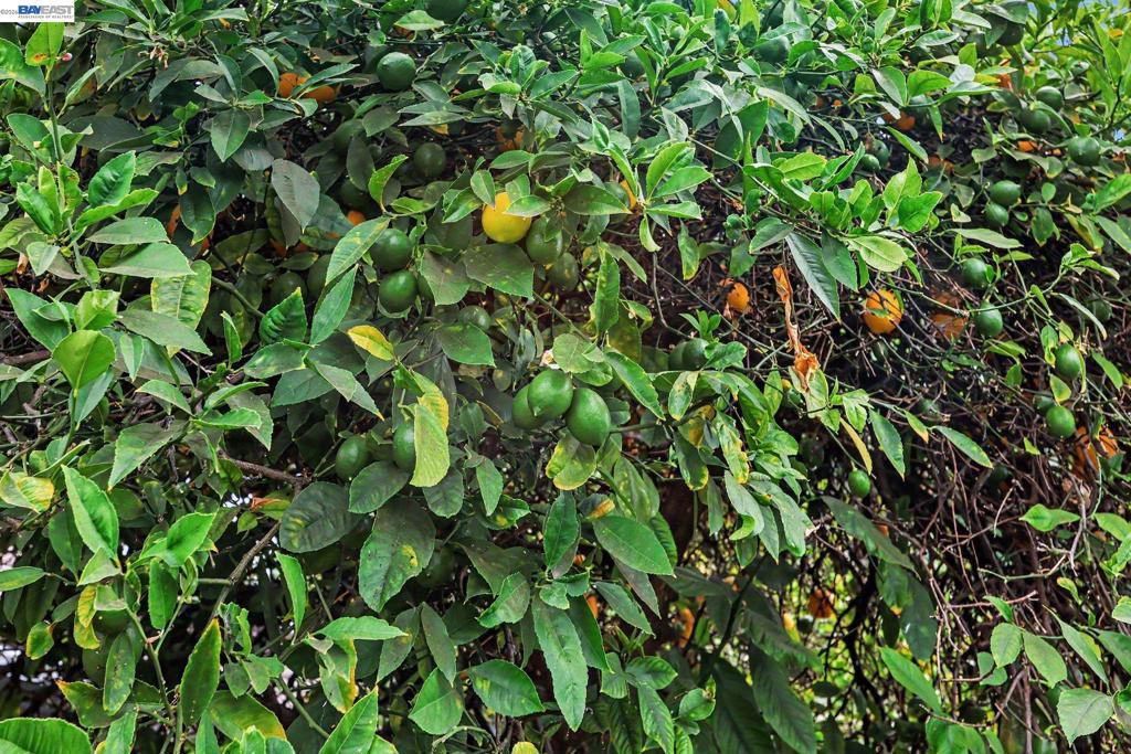 23739 Ida Ln Property Photo 18