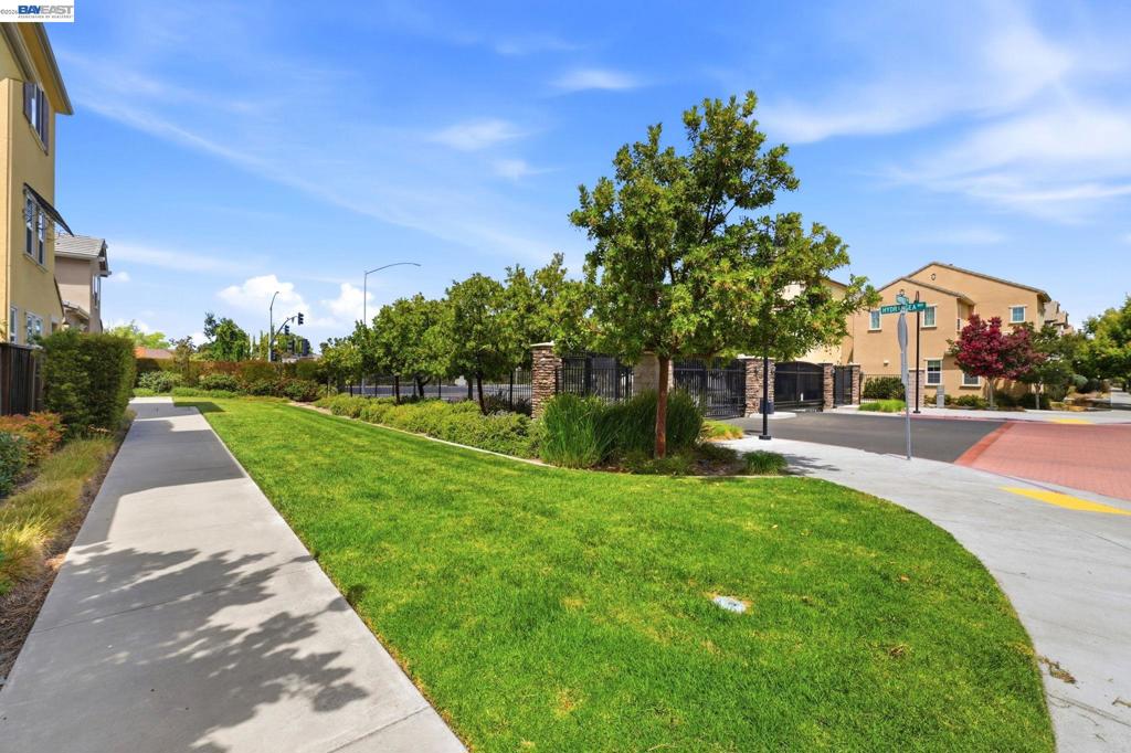 38935 Primula Ter Property Photo 43