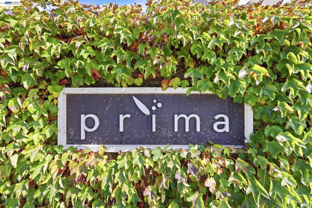 38935 Primula Ter Property Photo 44