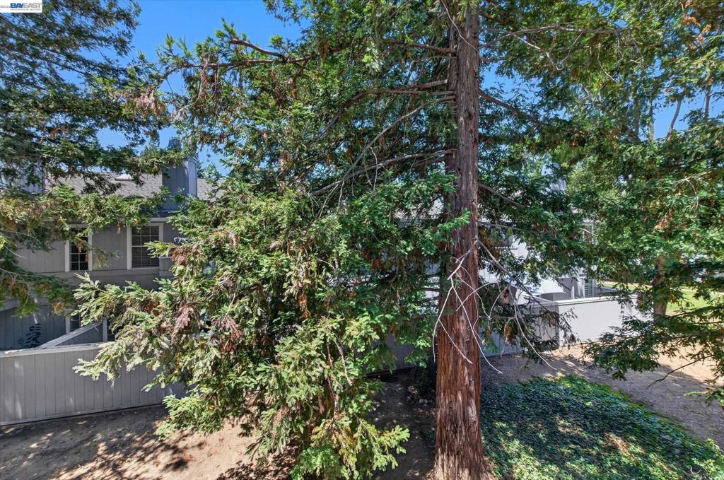 4125 Amberwood Cir Property Photo 27