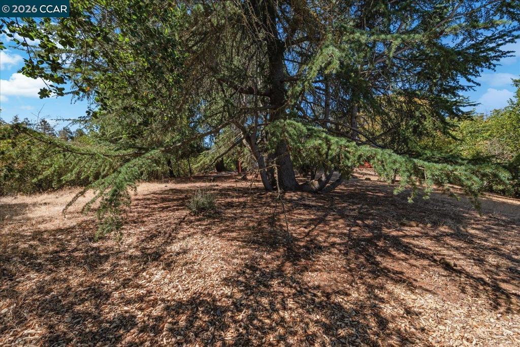 4848 Venner Rd Property Photo 53