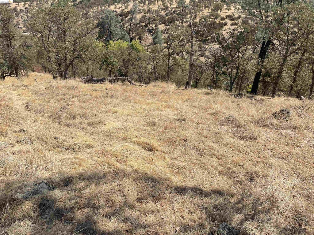 6647 Cane Lane Property Photo 3